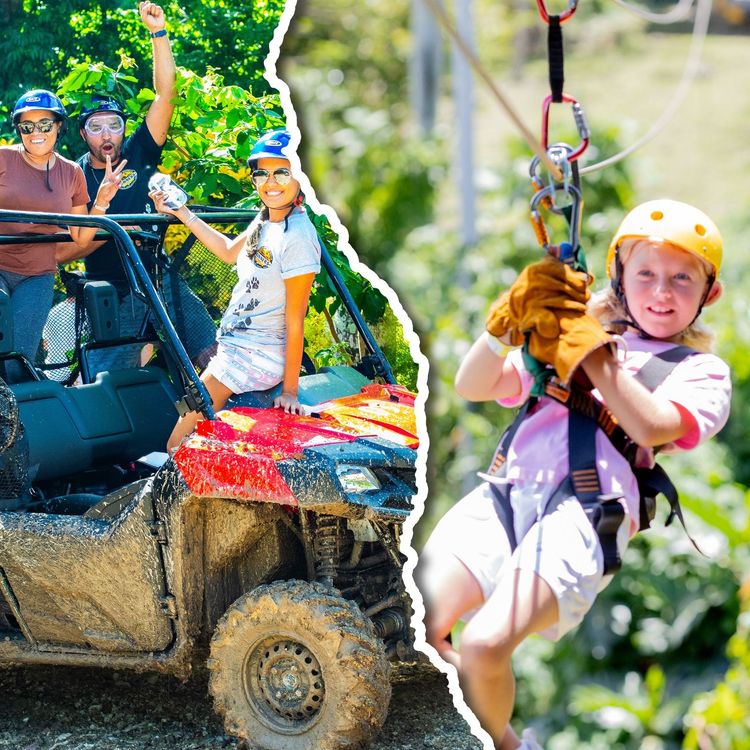 Cover Jungle Buggies + Zipline