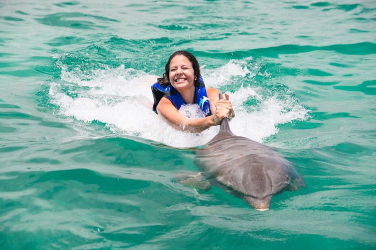 Cover Explorador de Delfines - 1 Delfín