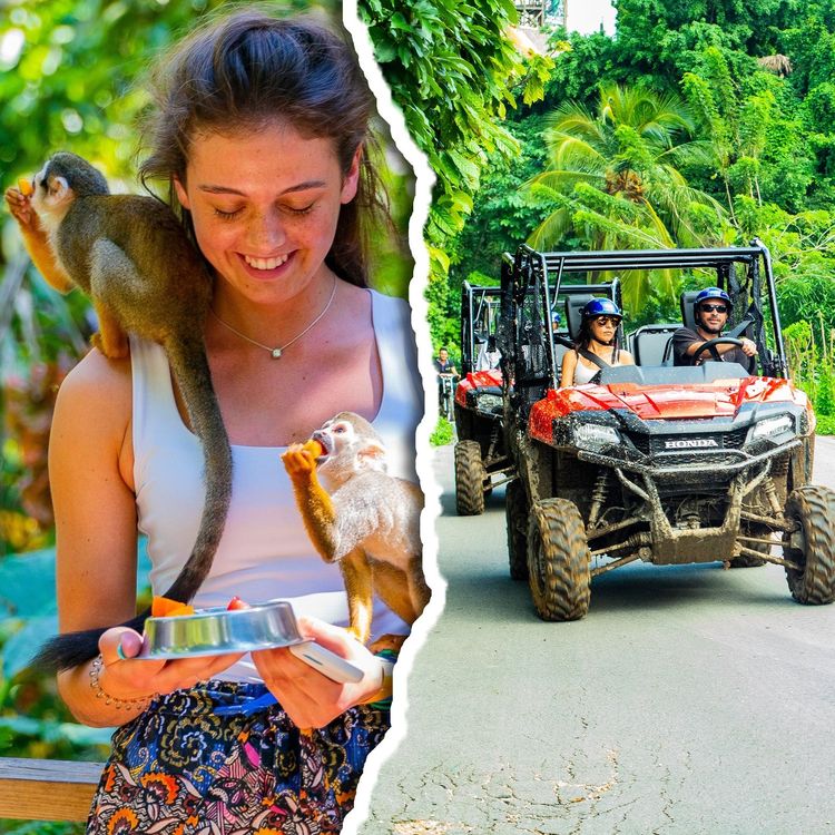Cover Monkey Land + Buggies