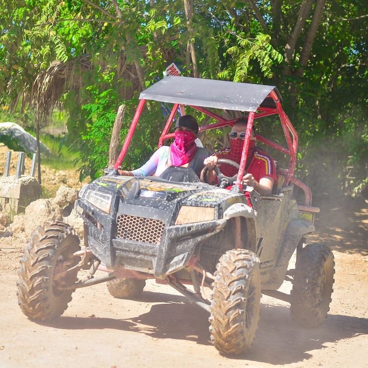 Cover Buggies Predators